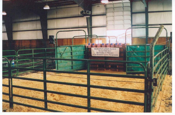 SALERINGATBULLSALE.jpg