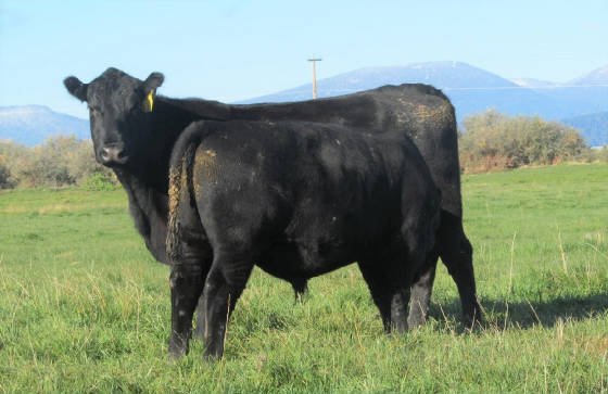b47andB274.jpg