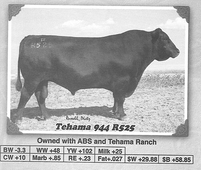 r525photor525_001.jpg